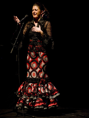Flamenco_Alicia_Gil