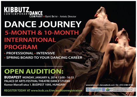 Dance Journey Audition Poster - January 2014