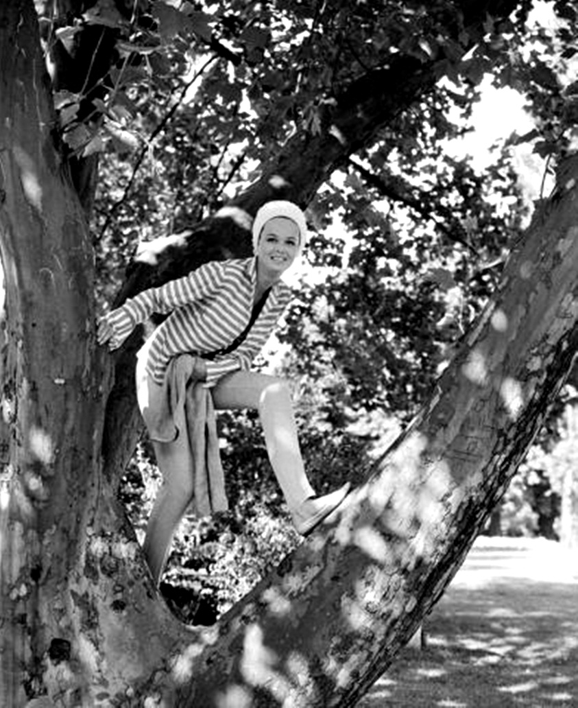 Tordai Teri fára mászik